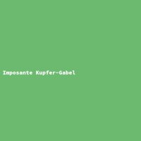 Imposante Kupfer-Gabel